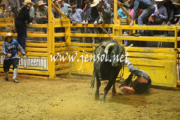 RealDealRodeoNov2013_1479