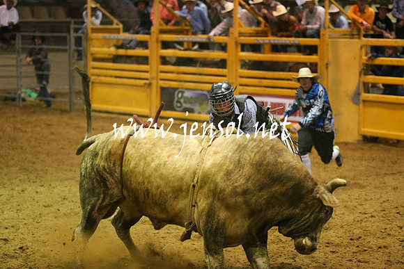 RealDealRodeoNov2013_0592