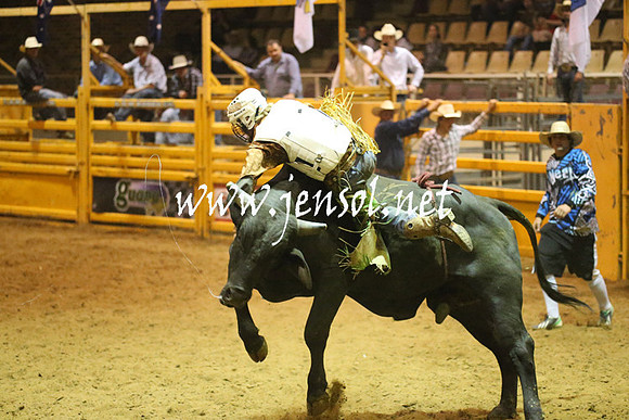 RealDealRodeoNov2013_1499