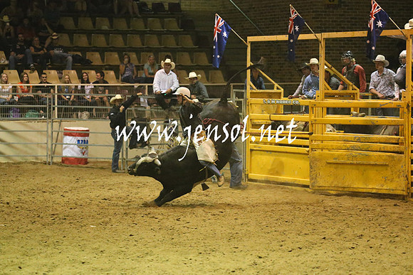 RealDealRodeoNov2013_1365