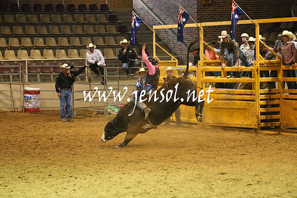 RealDealRodeoNov2013_0623
