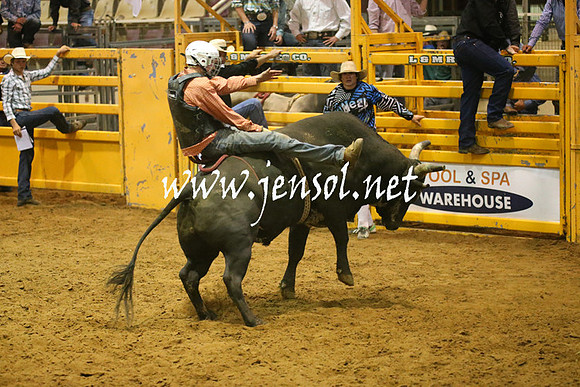 RealDealRodeoNov2013_0606