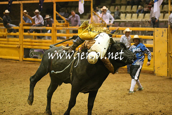 RealDealRodeoNov2013_1503