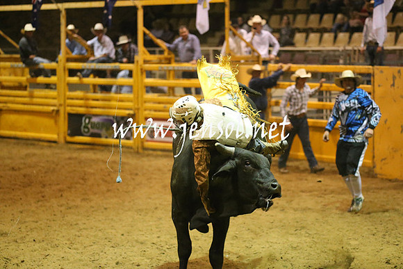 RealDealRodeoNov2013_1501