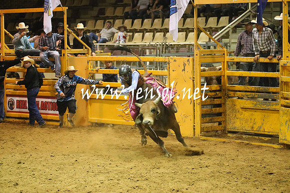 RealDealRodeoNov2013_1018
