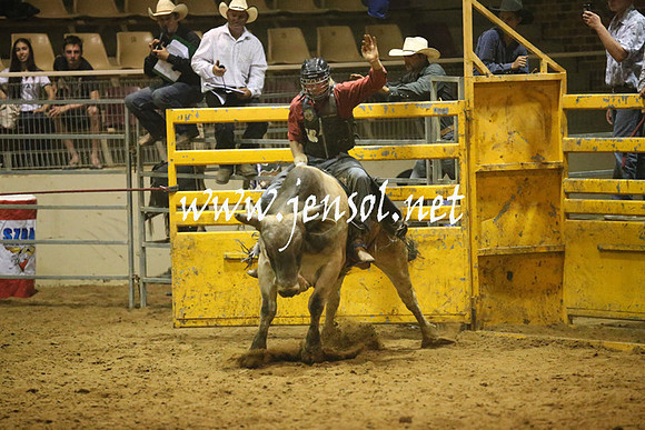 RealDealRodeoNov2013_1399