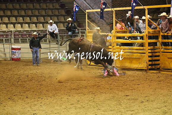 RealDealRodeoNov2013_0633