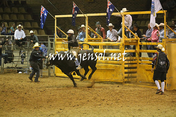 RealDealRodeoNov2013_1363