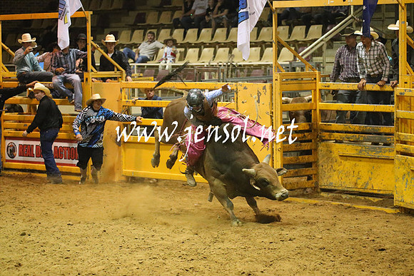 RealDealRodeoNov2013_1017