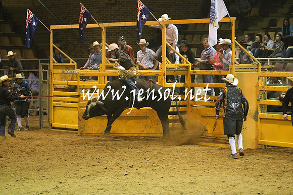 RealDealRodeoNov2013_1359