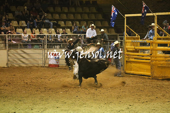 RealDealRodeoNov2013_1371