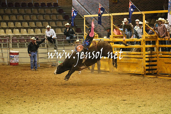 RealDealRodeoNov2013_0622