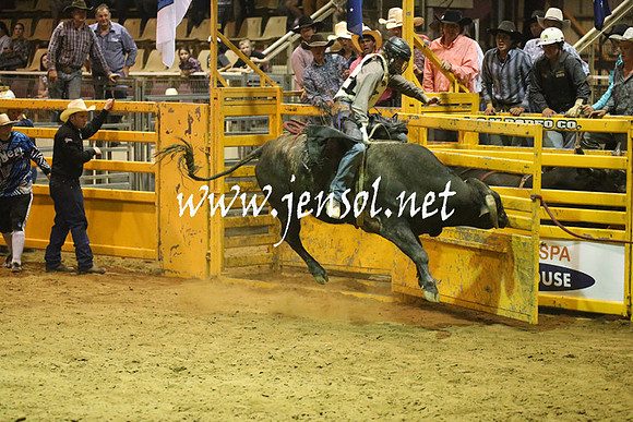 RealDealRodeoNov2013_1983