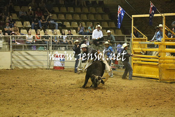 RealDealRodeoNov2013_1368