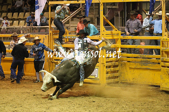 RealDealRodeoNov2013_1031