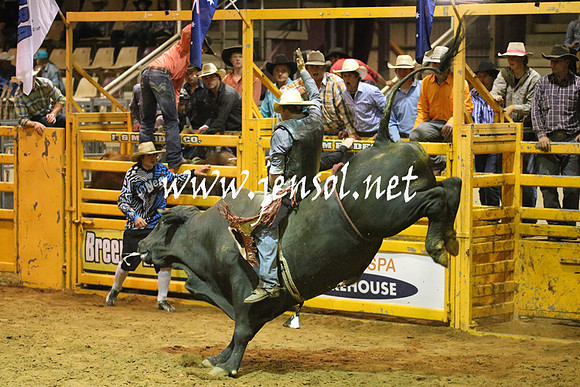 RealDealRodeoNov2013_1052