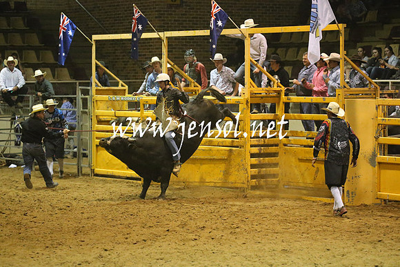 RealDealRodeoNov2013_1361