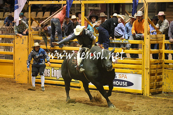 RealDealRodeoNov2013_1058
