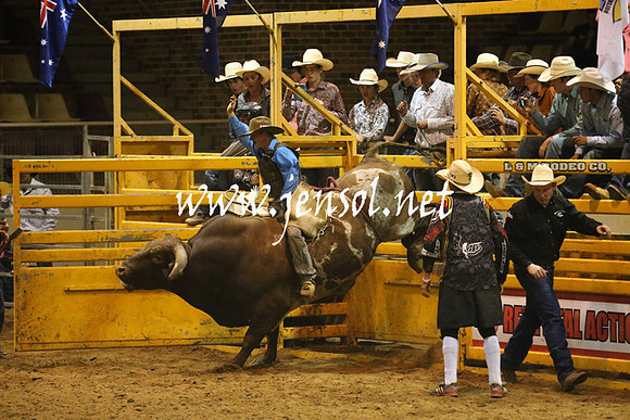 RealDealRodeoNov2013_1088
