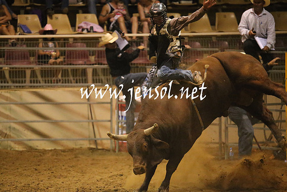 RealDealRodeoNov2013_1120