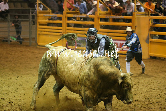 RealDealRodeoNov2013_0591
