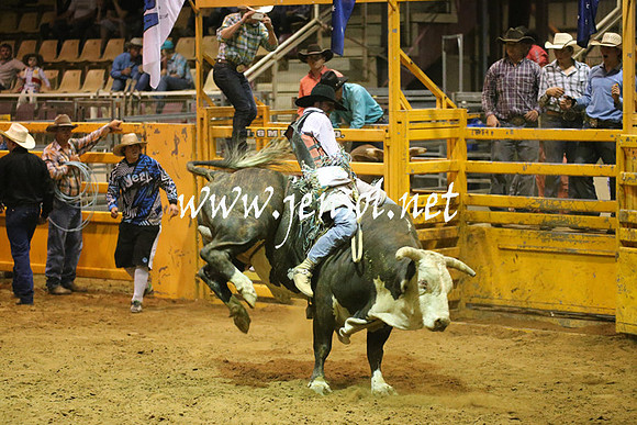 RealDealRodeoNov2013_1034