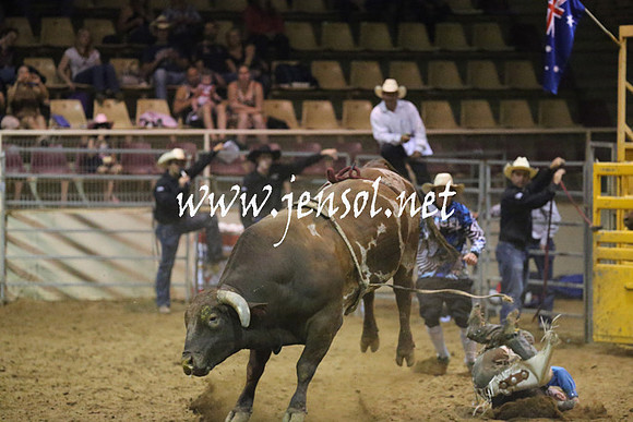 RealDealRodeoNov2013_1111