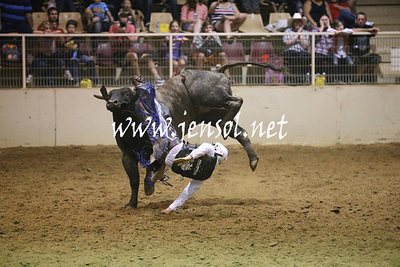 RealDealRodeoNov2013_1393