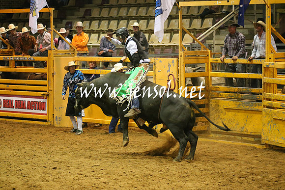 RealDealRodeoNov2013_0567