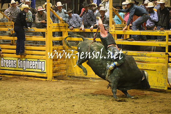RealDealRodeoNov2013_1465