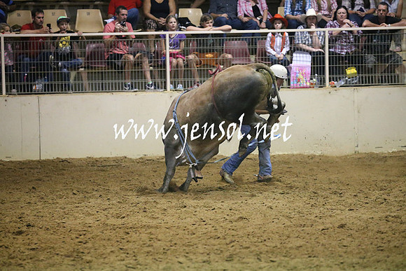 RealDealRodeoNov2013_0650
