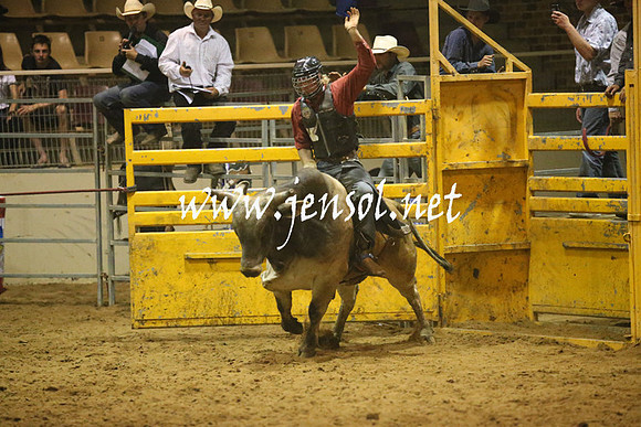 RealDealRodeoNov2013_1398