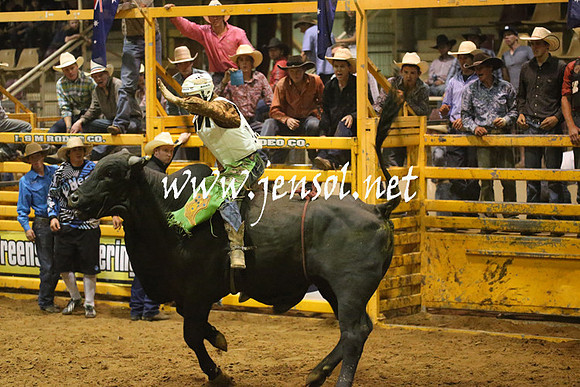 RealDealRodeoNov2013_1486