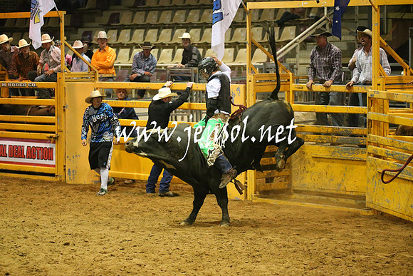 RealDealRodeoNov2013_0565