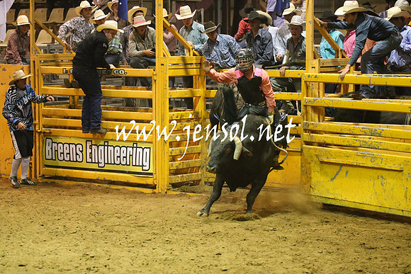 RealDealRodeoNov2013_1460
