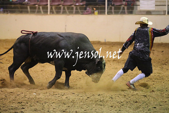 RealDealRodeoNov2013_1384