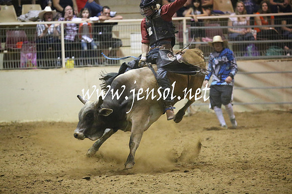 RealDealRodeoNov2013_1411