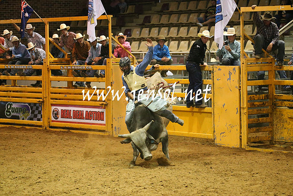 RealDealRodeoNov2013_0657