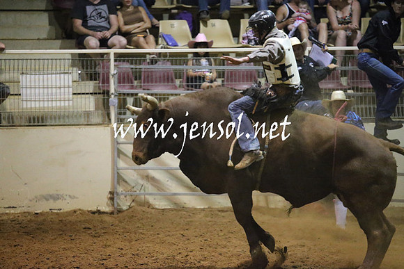 RealDealRodeoNov2013_1126