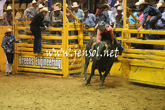 RealDealRodeoNov2013_1461