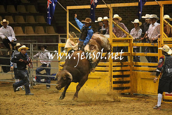 RealDealRodeoNov2013_1091