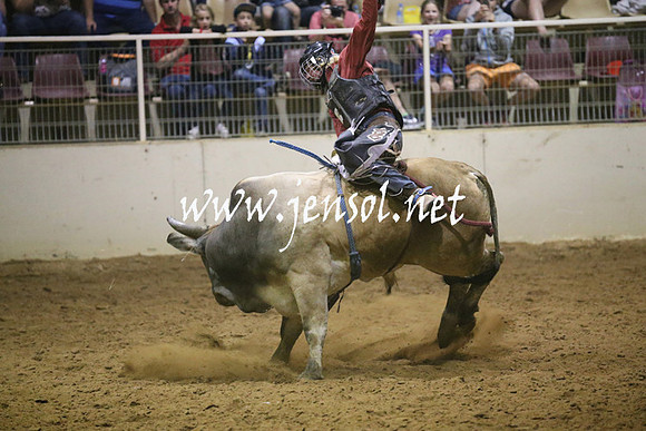 RealDealRodeoNov2013_1425