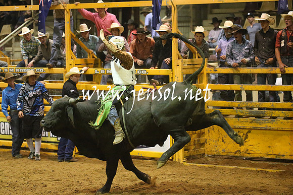 RealDealRodeoNov2013_1485