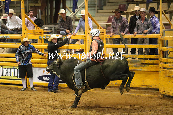 RealDealRodeoNov2013_0594