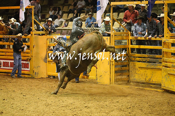 RealDealRodeoNov2013_1072