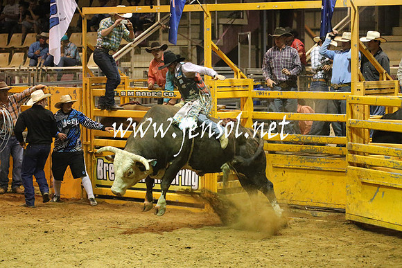 RealDealRodeoNov2013_1028