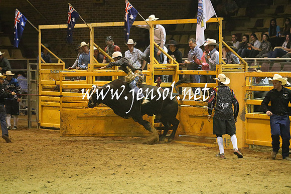 RealDealRodeoNov2013_1357