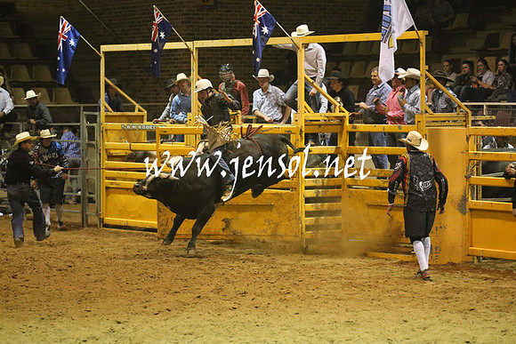 RealDealRodeoNov2013_1360