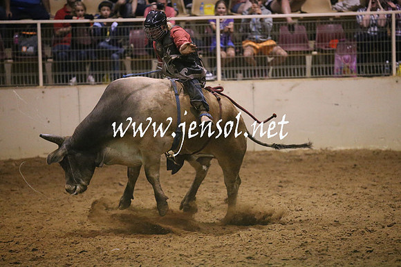 RealDealRodeoNov2013_1422