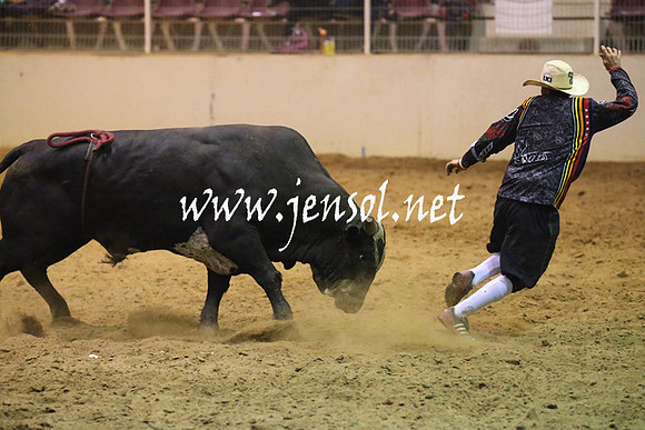RealDealRodeoNov2013_1385